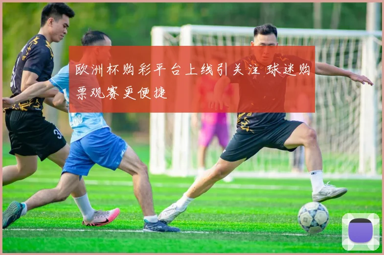 欧洲杯购彩平台上线引关注 球迷购票观赛更便捷