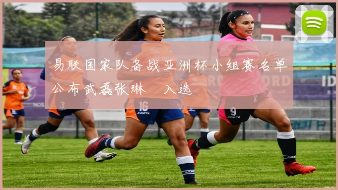 易联国家队备战亚洲杯小组赛名单公布武磊张琳芃入选