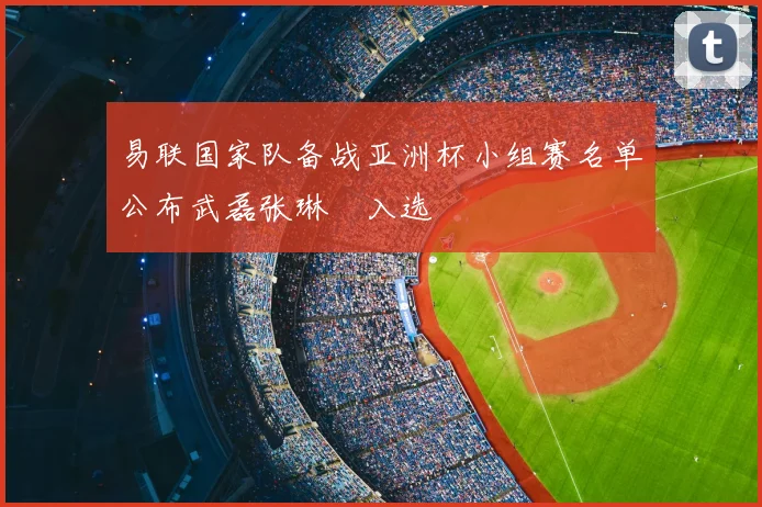 易联国家队备战亚洲杯小组赛名单公布武磊张琳芃入选