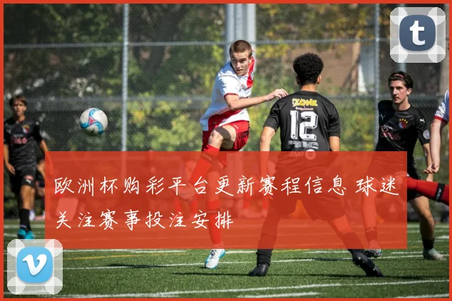 欧洲杯购彩平台更新赛程信息 球迷关注赛事投注安排