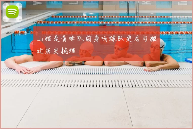 山猫是黄蜂队前身吗球队更名与搬迁历史梳理