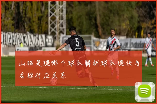 山猫是现哪个球队解析球队现状与名称对应关系