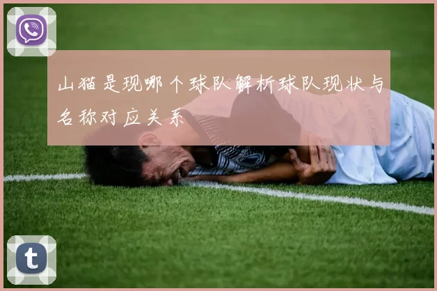 山猫是现哪个球队解析球队现状与名称对应关系