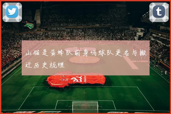 山猫是黄蜂队前身吗球队更名与搬迁历史梳理